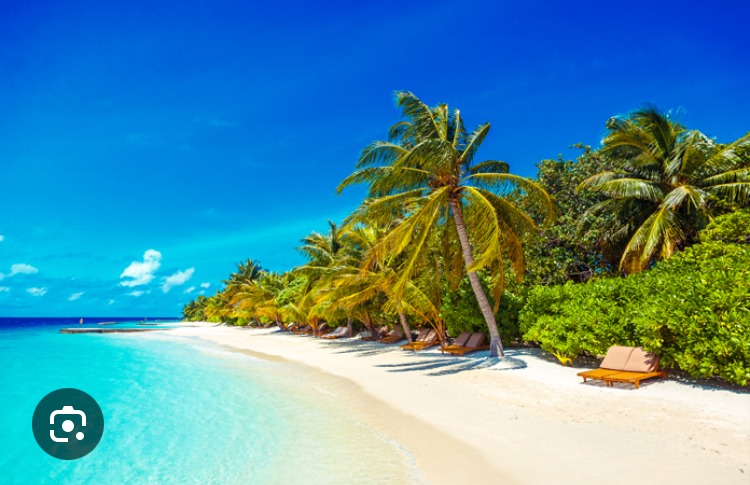 Zouhir - Fort-de-France - Martinique | Rencontre gay